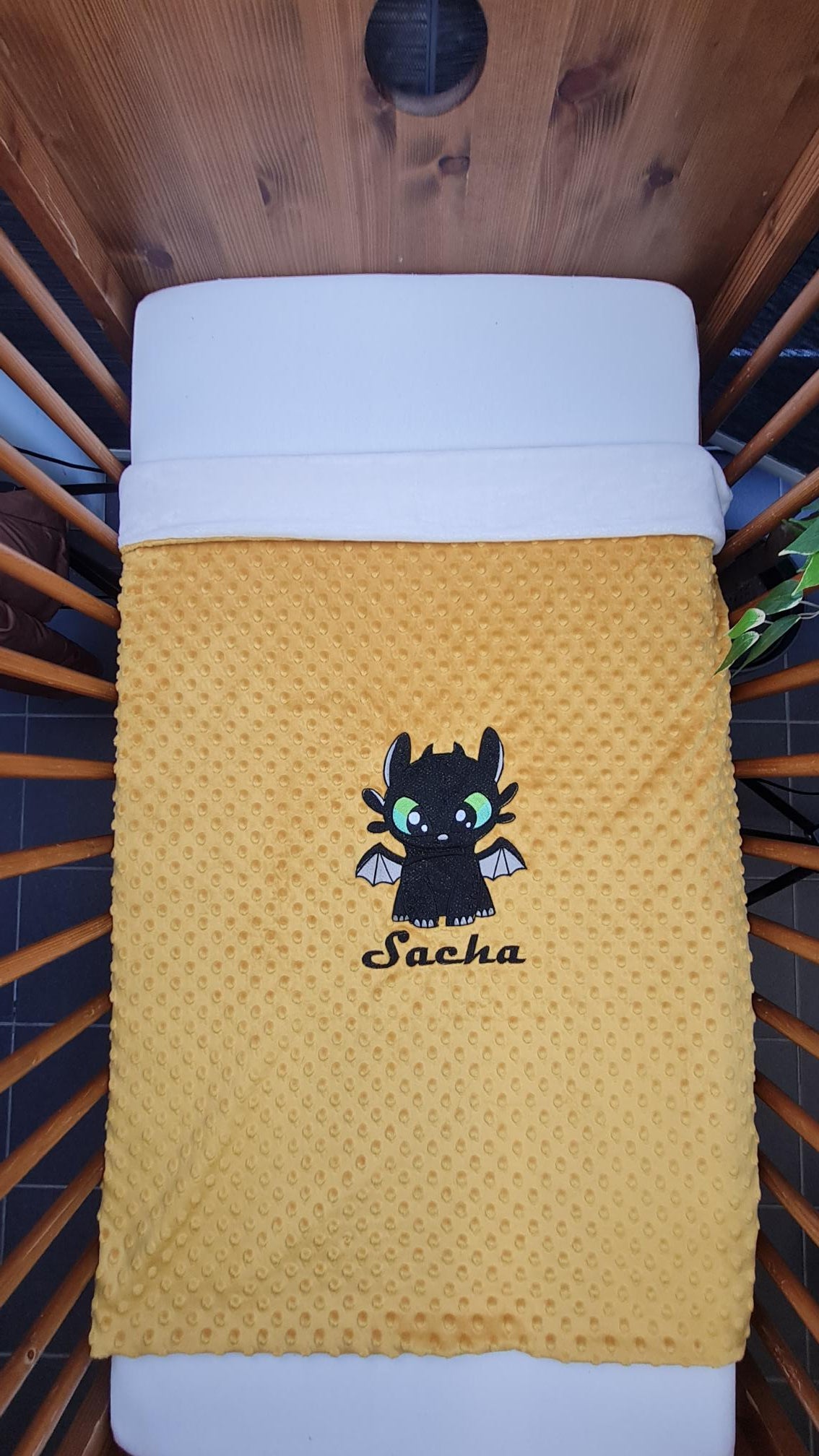 Créez Votre Couverture Bébé Brodée 75cm x 100cm | Modèle Double Minky Garçon