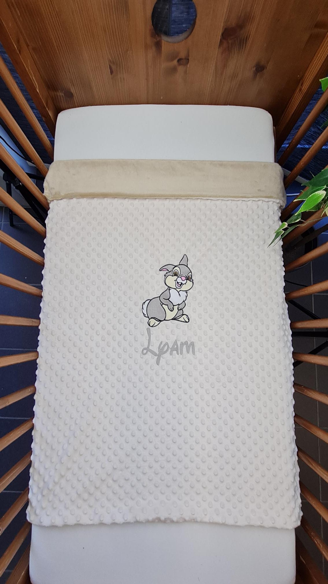 Créez Votre Couverture Bébé Brodée 75cm x 100cm | Modèle Double Minky Garçon