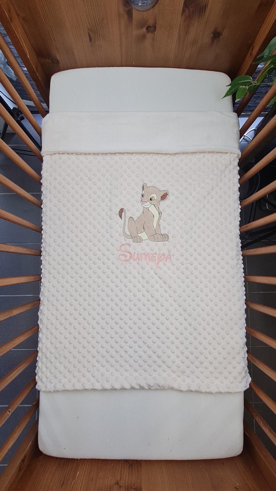 Créez Votre Couverture Bébé Brodée 75cm x 100cm | Modèle Double Minky Fille