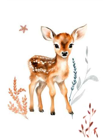 Couverture Plaid Biche Forêt Enchantée | 70cm x 95cm | Minky au choix