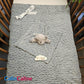 Pack Bébé A Personnaliser | Couverture Eté Grise 75cm x 90cm + Doudou Panda 35cm