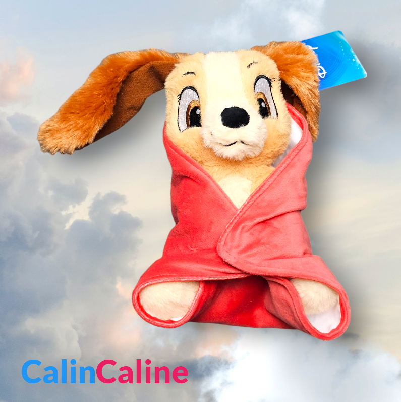 Doudou Peluche Disney Belle 25cm avec Mouchoir Personnalisé | Nicotoy