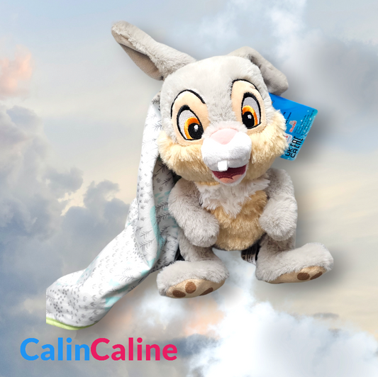 Doudou Peluche Disney PanPan 25cm avec Mouchoir Personnalisé | Nicotoy
