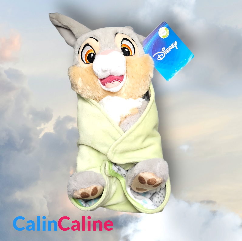 Doudou Peluche Disney PanPan 25cm avec Mouchoir Personnalisé | Nicotoy