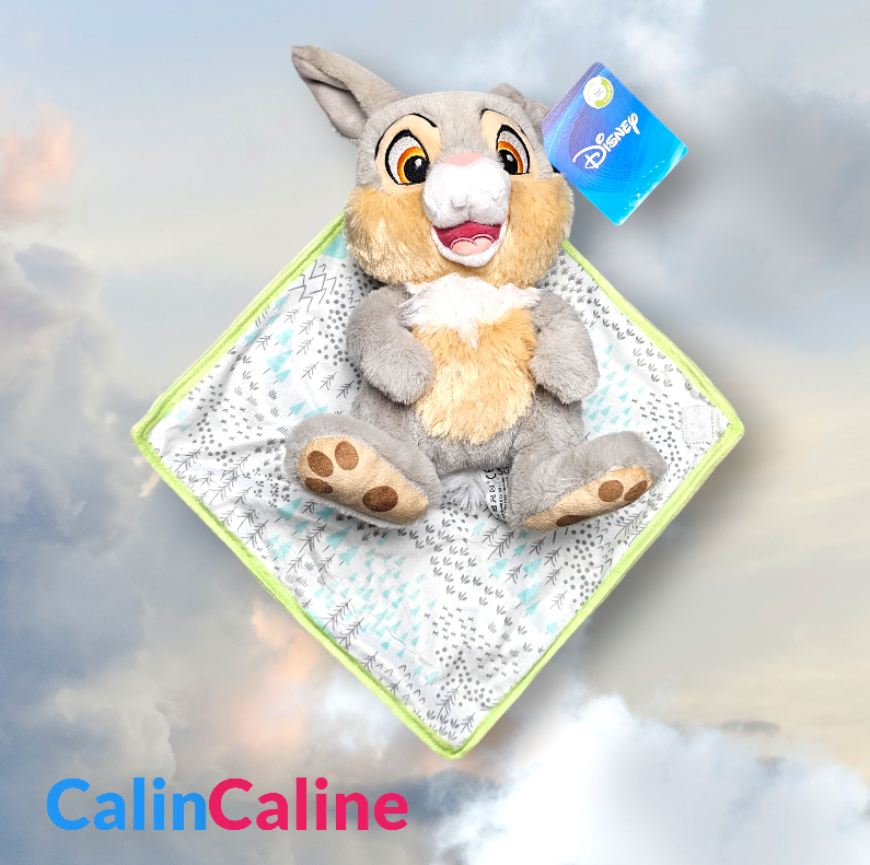 Doudou Peluche Disney PanPan 25cm avec Mouchoir Personnalisé | Nicotoy