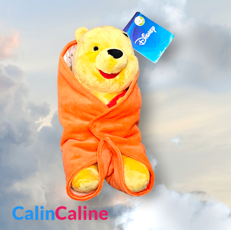 Winnie Soft Toy 25cm with Personalized Handkerchief | Nicotoy - Calincaline.be