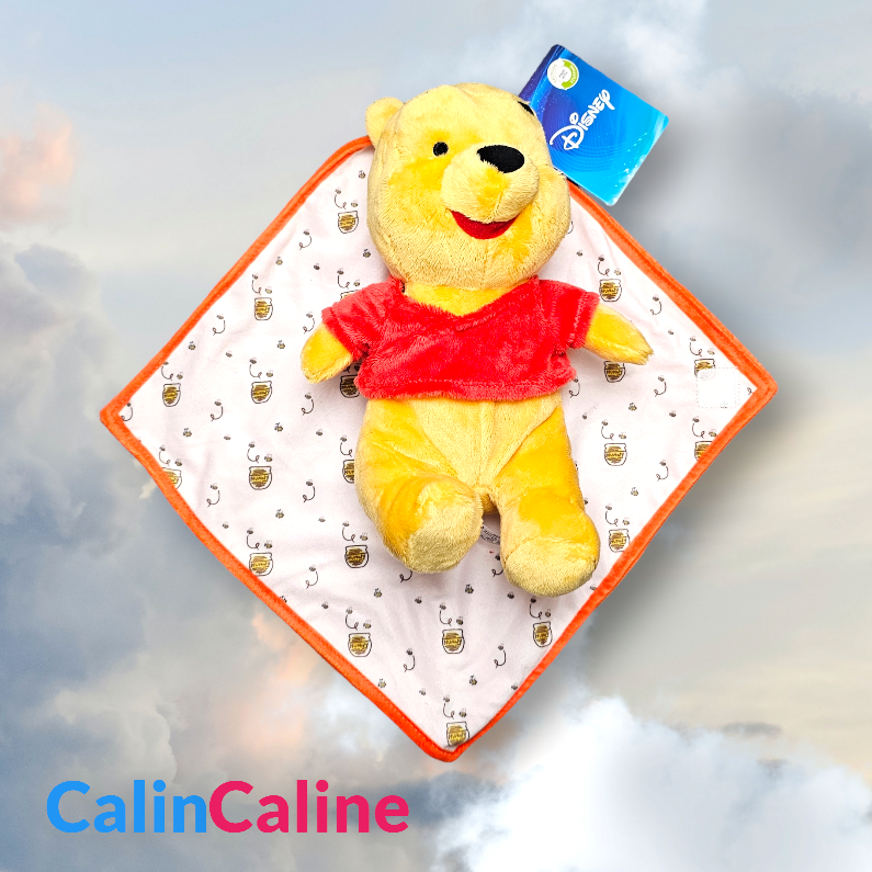 Doudou Peluche Disney Winnie 25cm avec Mouchoir Personnalisé | Nicotoy
